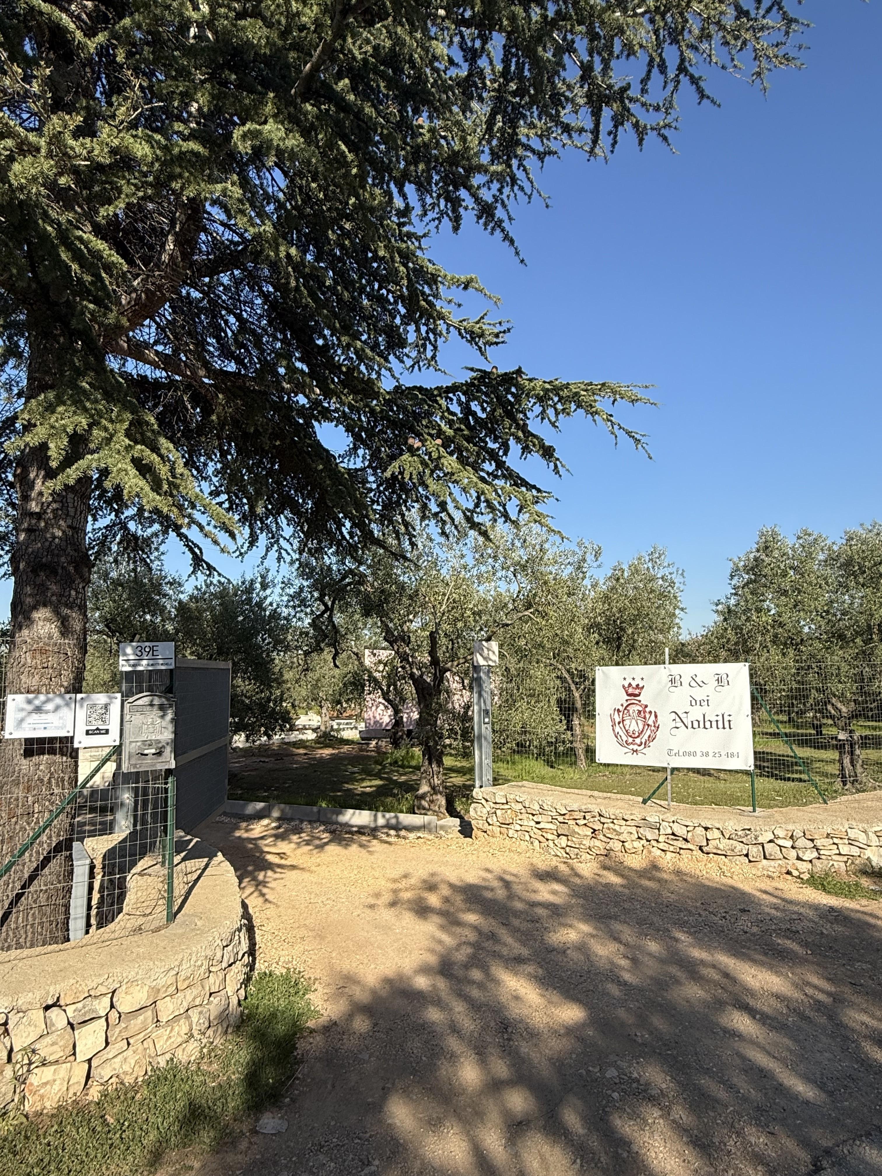 B & B Dei Nobili Bitetto Kültér fotó