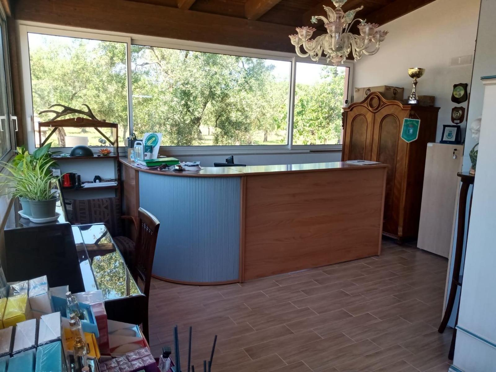 B & B Dei Nobili Bitetto Kültér fotó